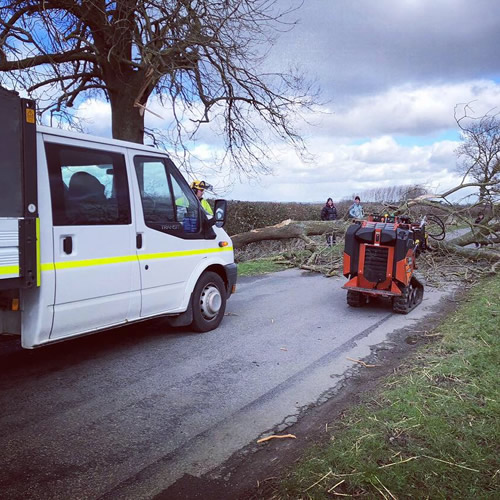 AJB Tree Care - Emergency Work