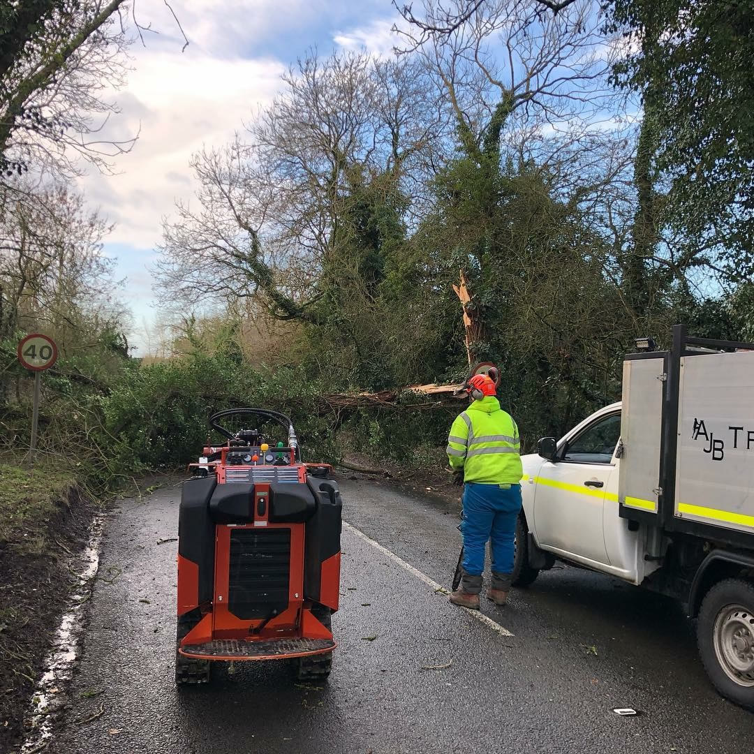 AJB Tree Care - Emergency Work