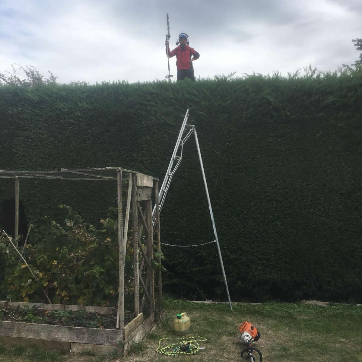 AJB Tree Care - Hedge Work