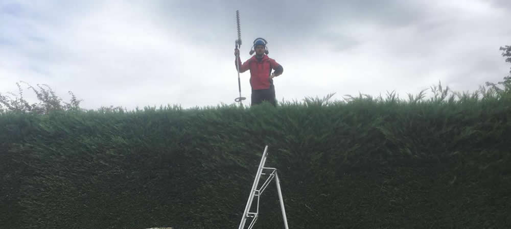 Hedge Trimming in Buckinghamshire