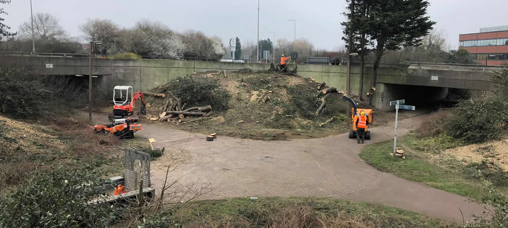 Hedge Removal in Buckinghamshire