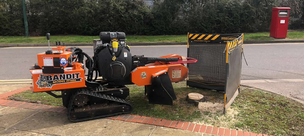 Tree Stump Grinder in Buckinghamshire