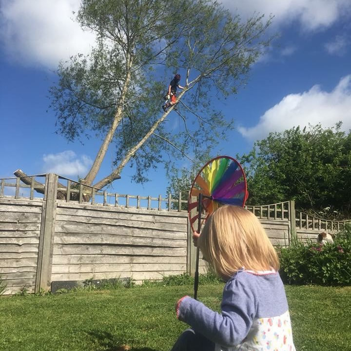 Tree Pruning in Oxfordshire and Buckinghamshire