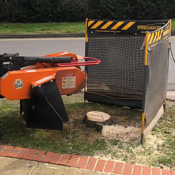 AJB Tree Care - Stump Grinding